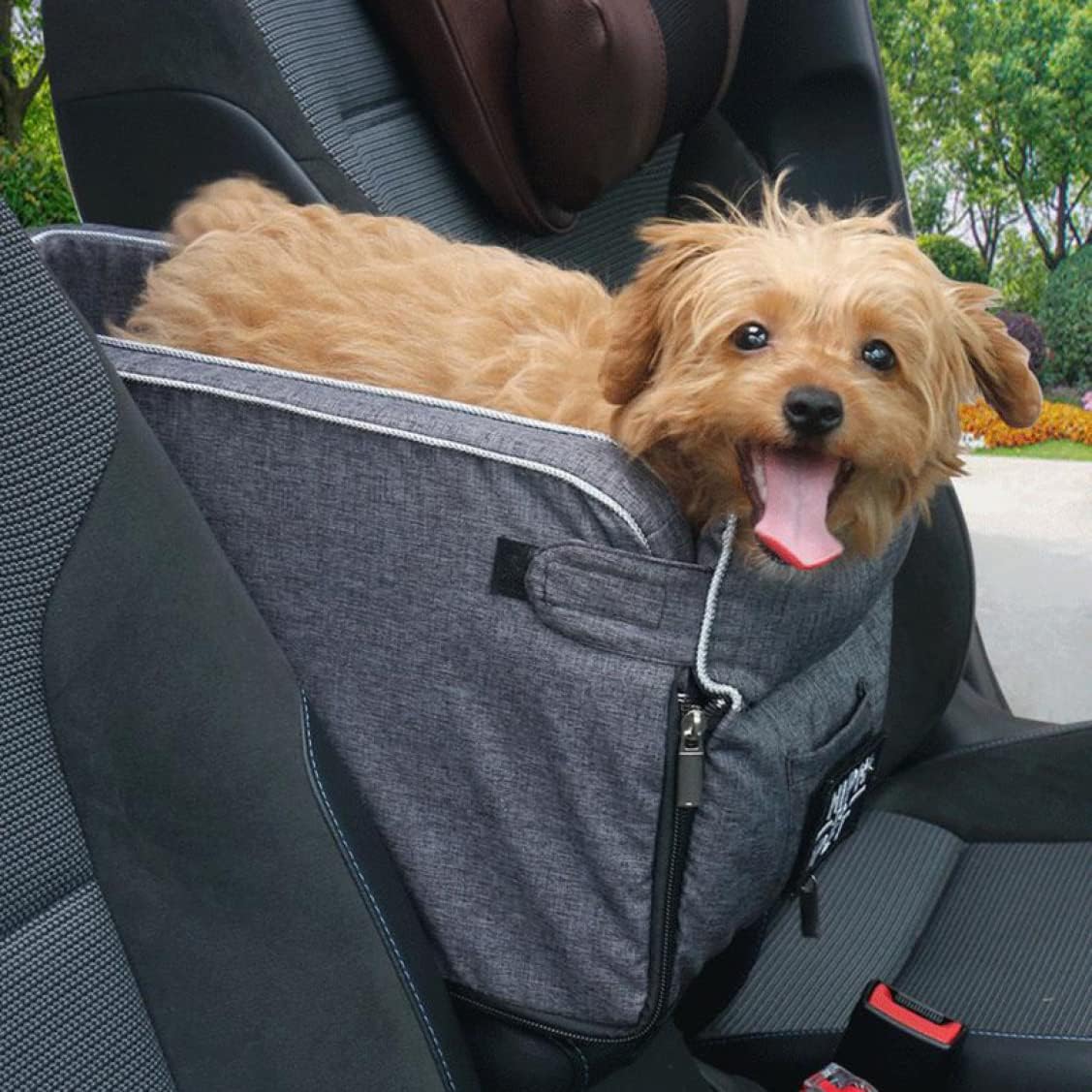 PawRide | Keeps Your Pet Comfortable and Secure While Driving