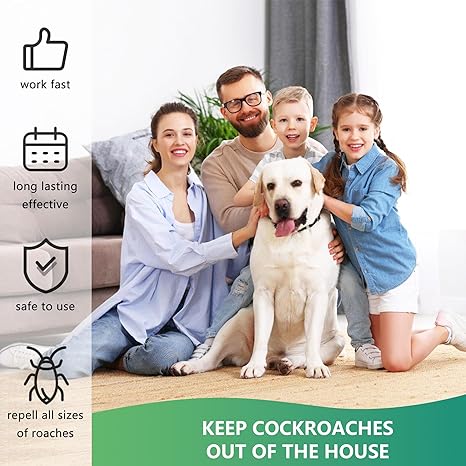 Say Goodbye to Cockroaches with the Ultimate Cockroach Bait Station! (16pcs)