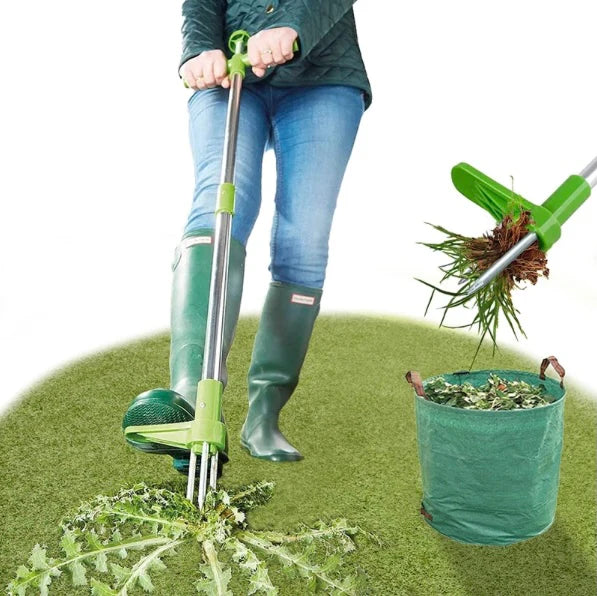 RootBane | Standing Plant Root Extractor – SohoBloo Shop