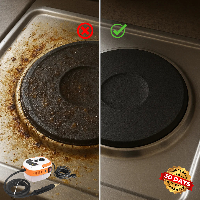 SteamClean™ 2500W High-Temperature 220V Household &amp; Car Cleaning Machine