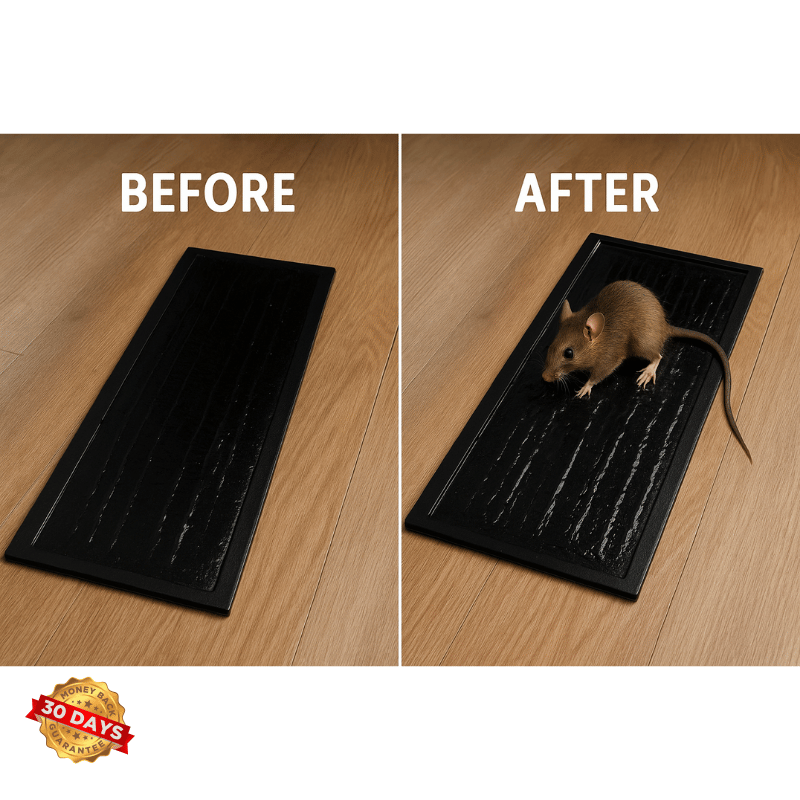 RodentLock™ Ultra-Sticky Mouse Blanket Trap